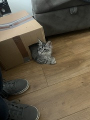 Help name this little girl