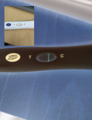 Does this look like the start of a great new year …