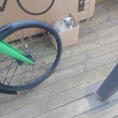 Weird MN question no: 3 million and 43 - cheapest way to transport a bike from Sweden to UK?