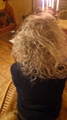 Nobody likes my greying hair!