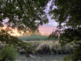 To ask you to show me your beautiful parts of the country