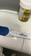 Evap line or faint positive?