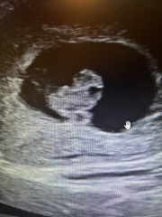 Due September 2024 PART 3 ❤️🩷💛💚💙💜