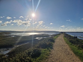 Thread 49 - Covid GCSE Cohort - The nights are drawing in...