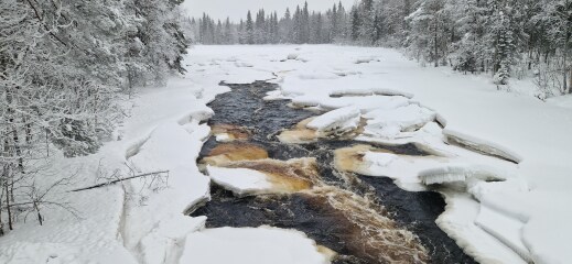 Come chat hiking with me!