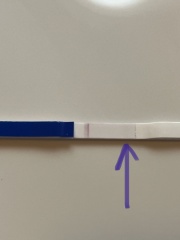 TTC after early miscarriage