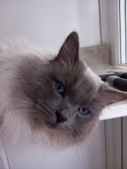 Best pet name you’ve heard