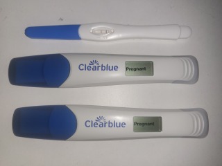 OCTOBER 2024 BABIES!