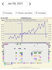 Cyclogest Pessaries - Temp Dip?