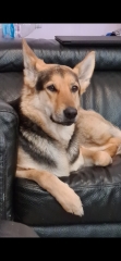 Pet photo thread