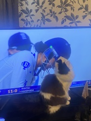 What compliments do you pay your cat?