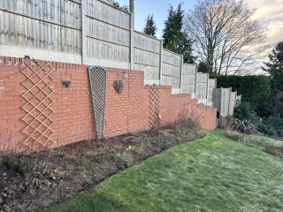 Garden advice - photo inc