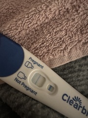 Clear blue test. Evap line or positive