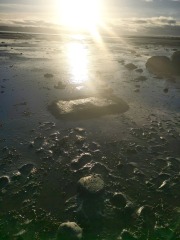 Any Witches Here?- Part 19