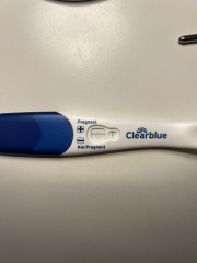 Can you see a line? 8dpo