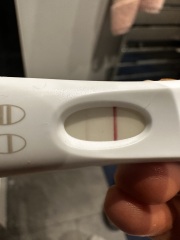 Digitals and blue dye positive but barely any line on pink dye test