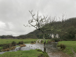 To ask you to show me your beautiful parts of the country