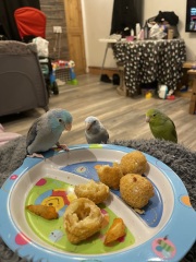 To be scared that I’m still marked by the crows?