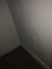 Is this rising damp? Rented flat.