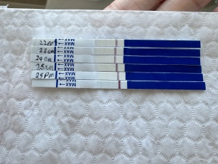 11DPO - is this a squinter?😬