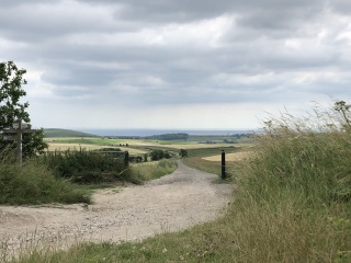 To ask you to show me your beautiful parts of the country