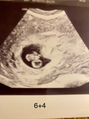 Due September 2024 PART 2 💛🧡💚💙💜