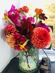 Is anyone ready to be excited about dahlias yet?