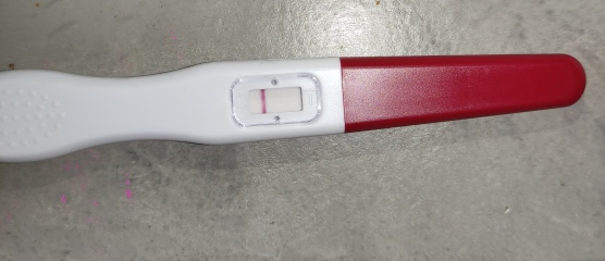Clear blue test. Evap line or positive