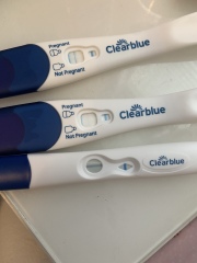 Clear blue test. Evap line or positive