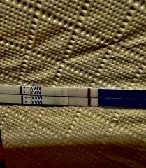 Is this a nasty evap?? Please help