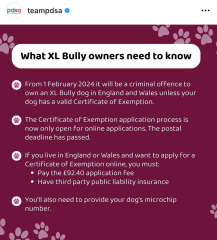 XL bully type question