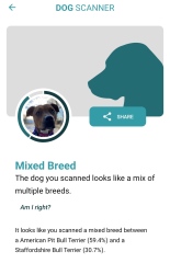 Will my dog be classed as a ‘type’?