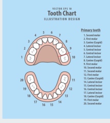 Quickest way to heal a deep cut in gum?