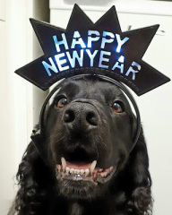 Royal Style: silk, stomachers, sapphires and plenty of sass