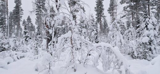 Come chat hiking with me!