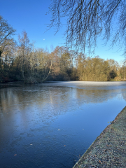 ⭐️LOSE IT! January 2024 Reset & Renew⭐️