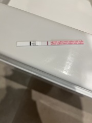 Pregnancy and loss
