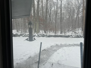 Come and tell me your dull and unexciting news 28: Calmly through the day