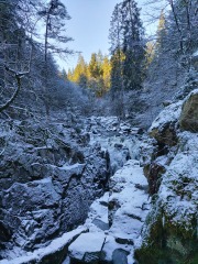 Any Witches Here?- Part 19