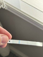 Faint lines and now no lines but have pregnancy symptoms??????