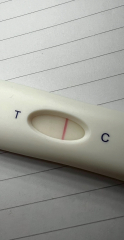 First month TTC… fallen into the testing trap!
