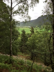 To ask you to show me your beautiful parts of the country
