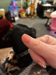 BIAB nails chipped really easily