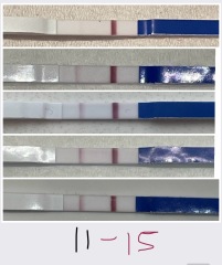 10dpo line eyes - I’m not seeing things am I?!