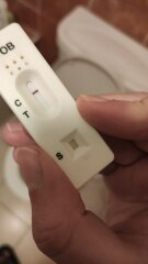 FOB test