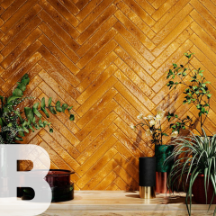 Which bathroom tiles?