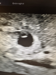 Due September 2024 PART 2 💛🧡💚💙💜