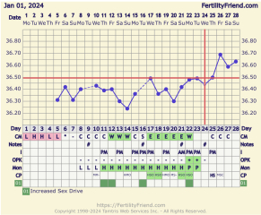 Did I ovulate?