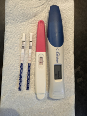 Due September 2024 PART 2 💛🧡💚💙💜