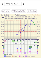 Cyclogest Pessaries - Temp Dip?